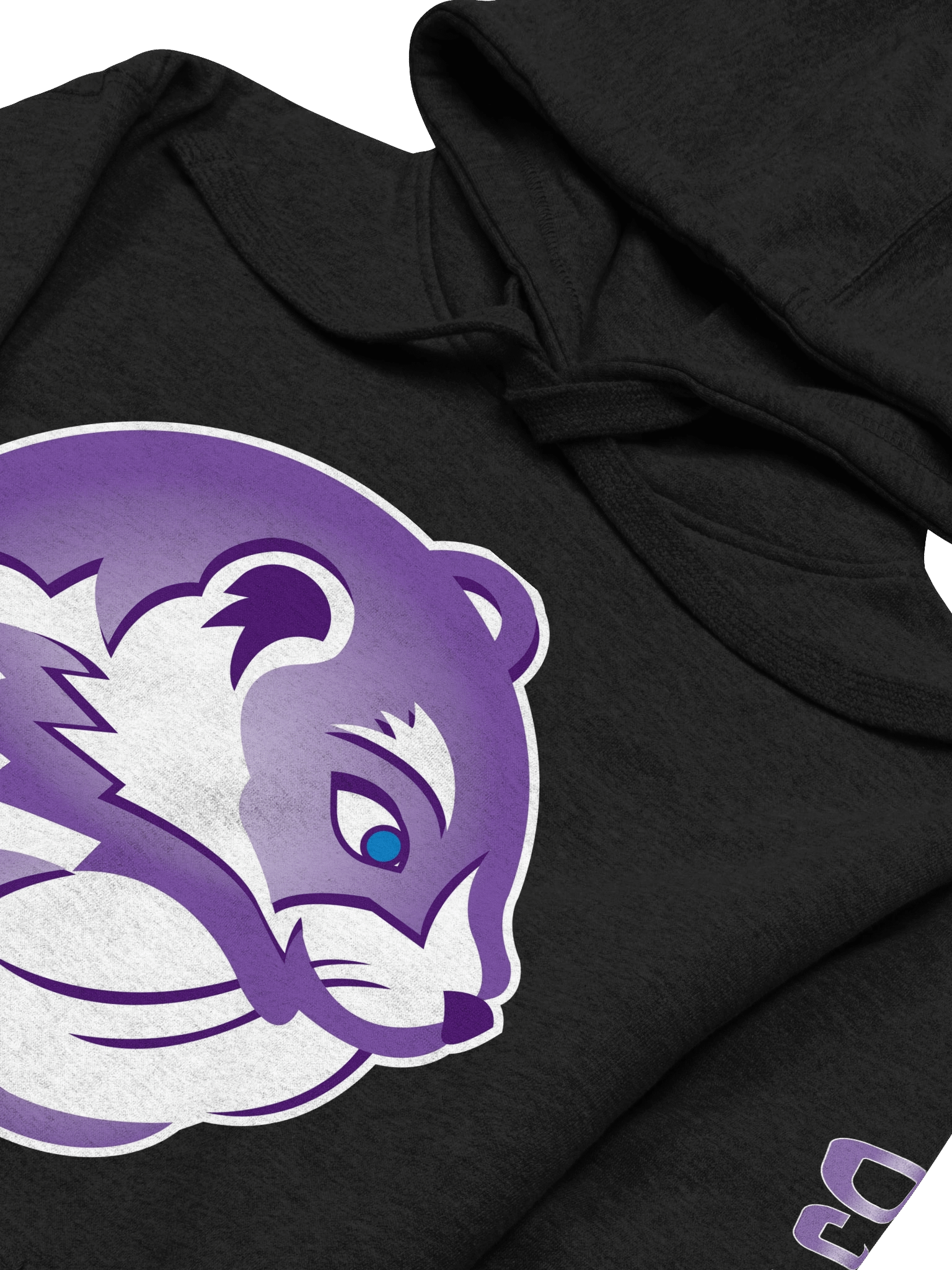 DJ Weasel 2025 Edition Hoodie product image (3)