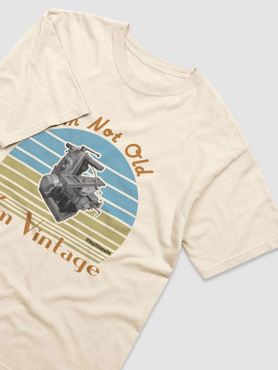 Heavyweight T-Shirt (2H) product image (3)