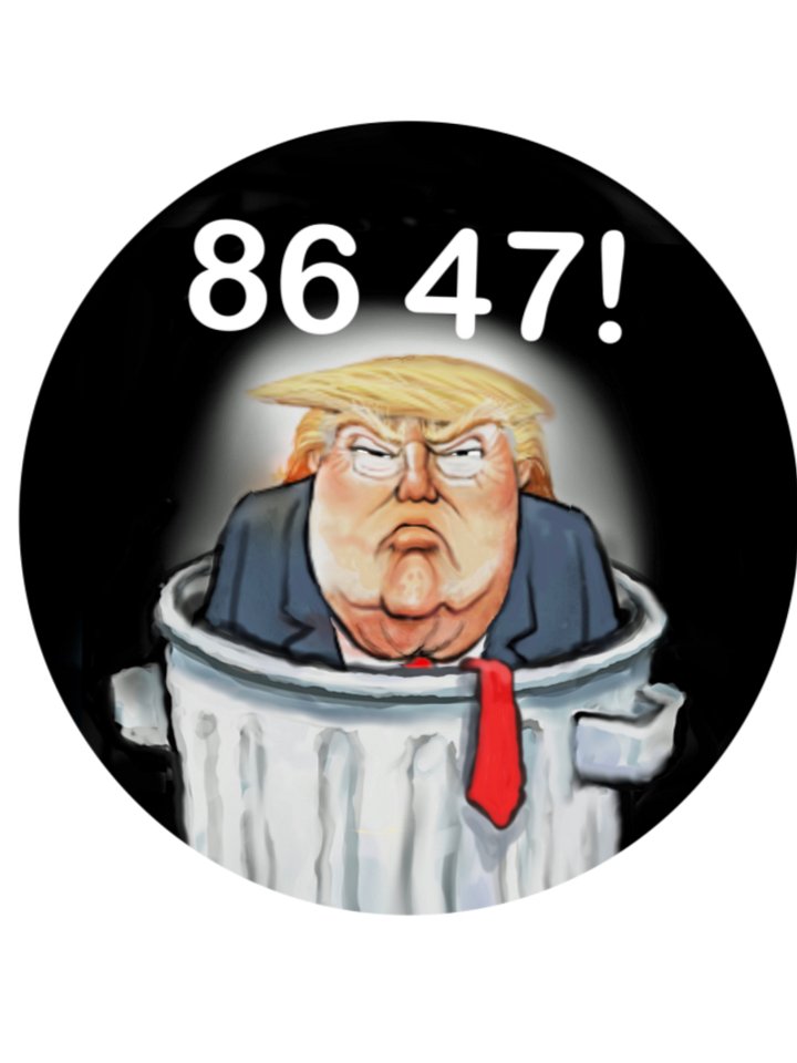“86 46” Dump Trump five Pin Button Set product image (2)