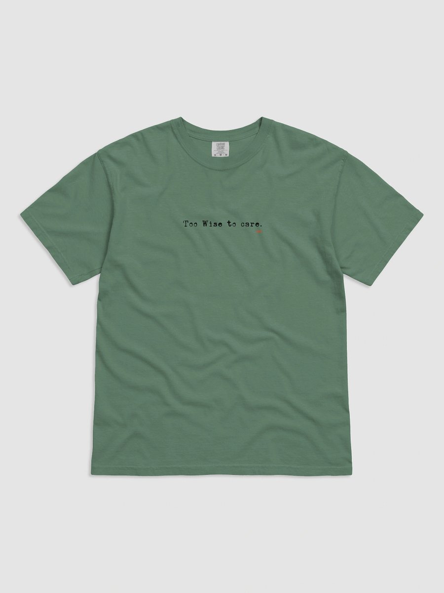 Cat Wisdom : Too Wise to care T-Shirt product image (81)