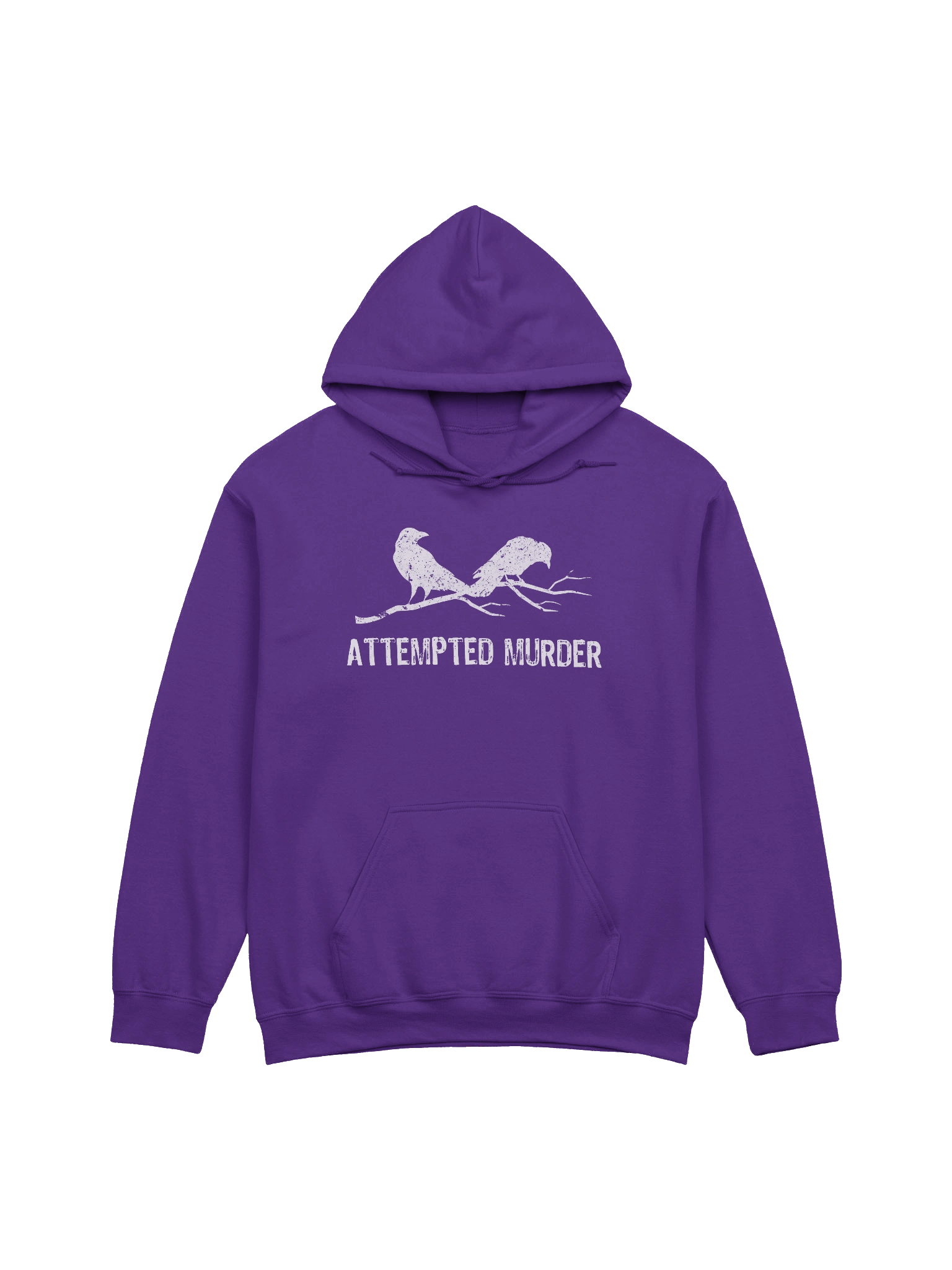 Attempted Murder Two Crows Funny Bird Pun Meme Hoodie product image (1)