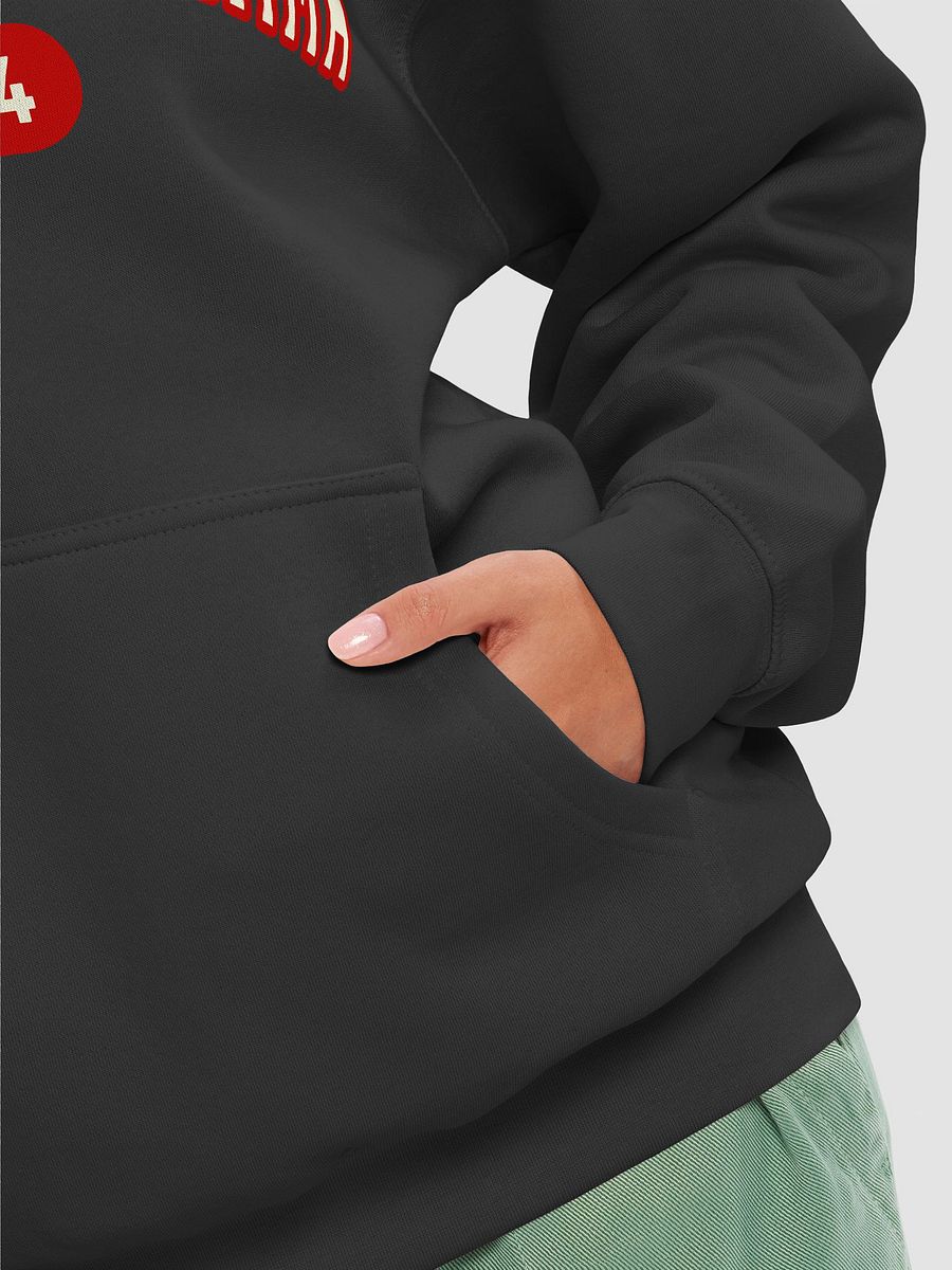 ADG 1924 - Hoodie product image (53)