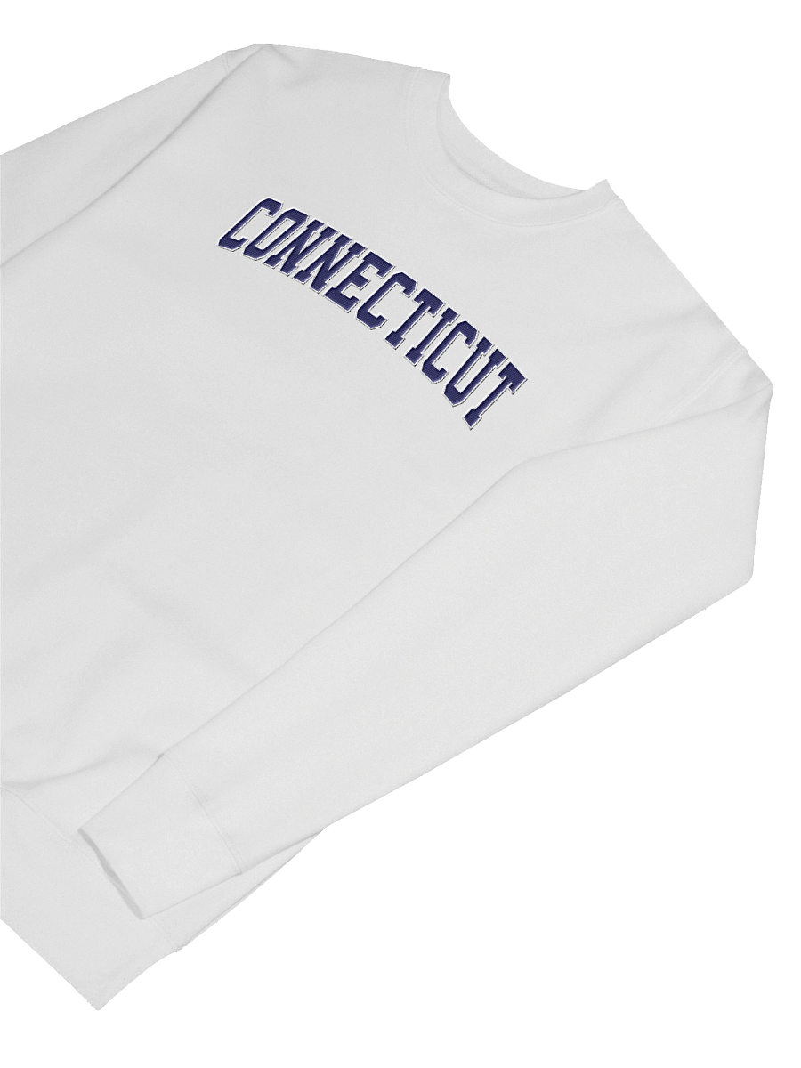 Connecticut Vintage Stylish Embroidery Premium Sweatshirt product image (73)