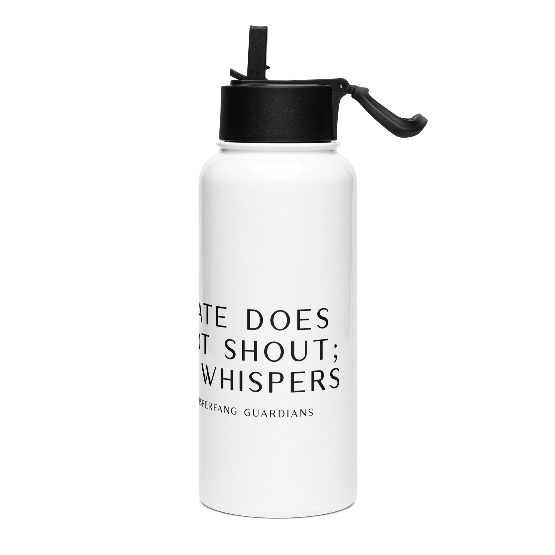 Claudia Stainless Steel Water Bottle with a Straw Lid product image (3)