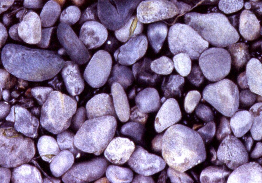 Cama Rocks Detail Print product image (1)