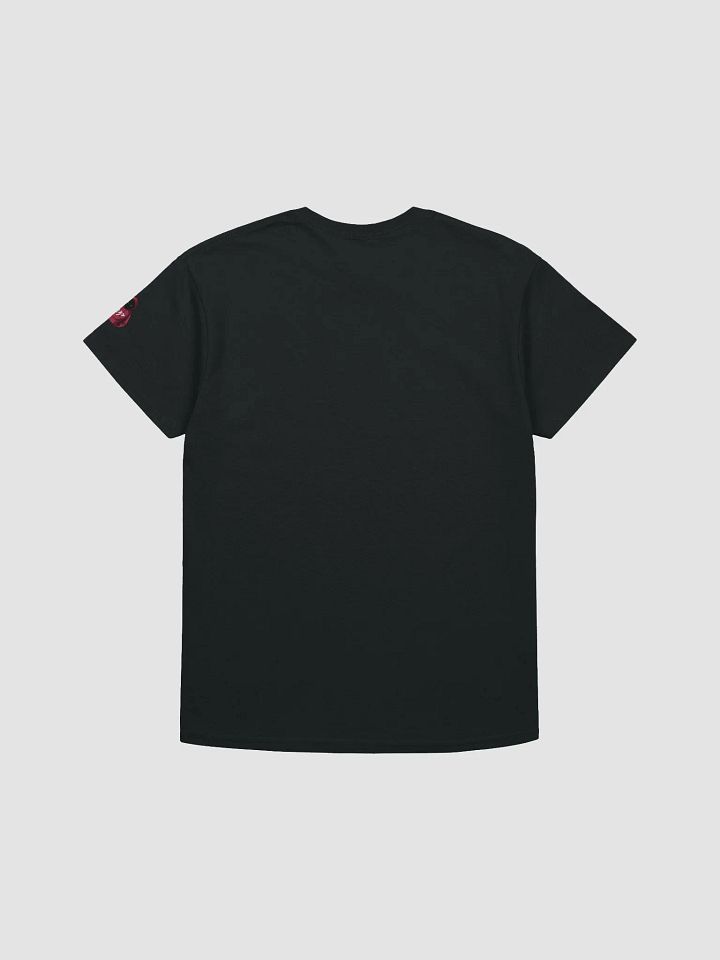 DP T-Shirt product image (2)