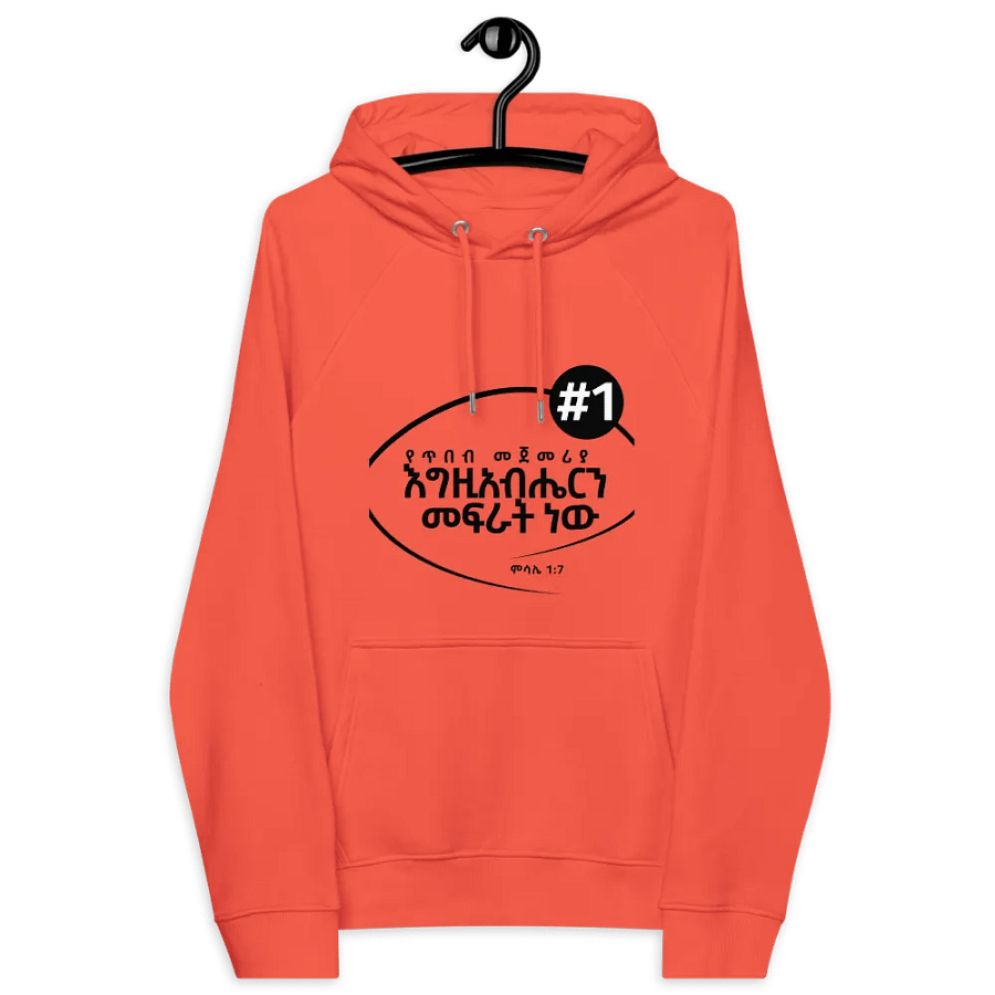 'Proverbs 1:7' Hoodie product image (6)