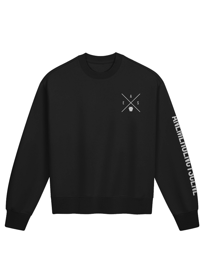 AES X Crewneck product image (1)