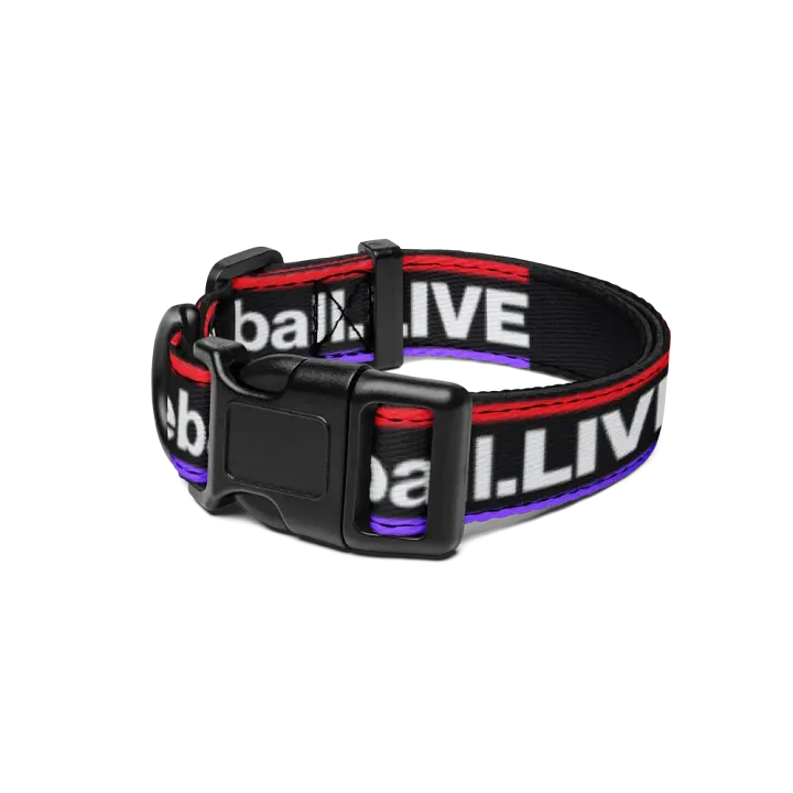 Dodgeball.LIVE Dog Collar product image (1)