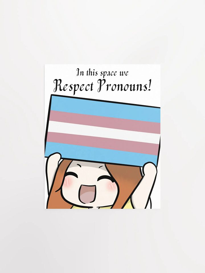 Respect Pronouns Poster - Transgender product image (1)