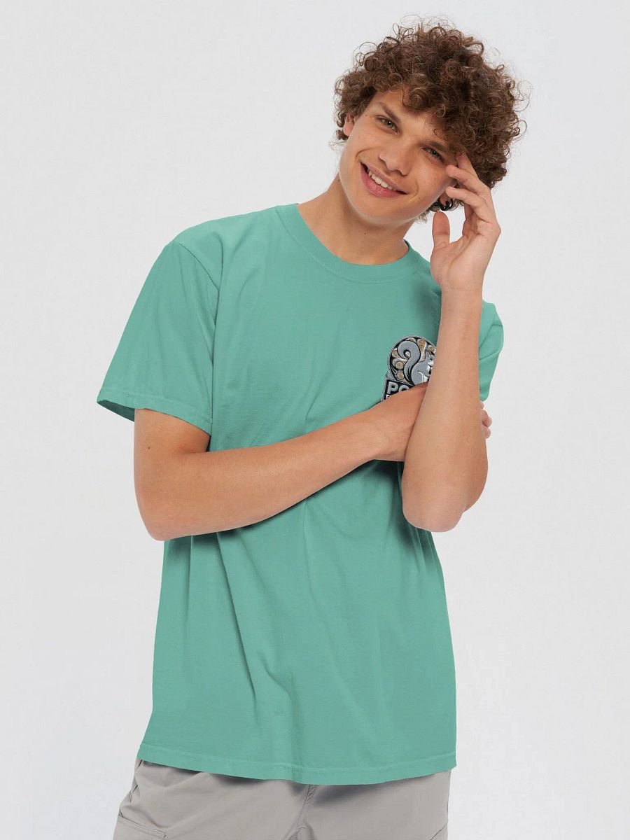 Embroidered Super Soft Traditional Fit Tee: Pooky For Squirrel Rights Arch product image (5)