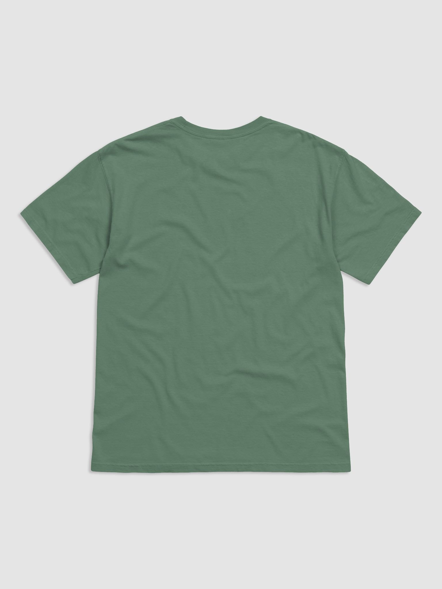 Salute to Freedom Graphic Tee product image (15)