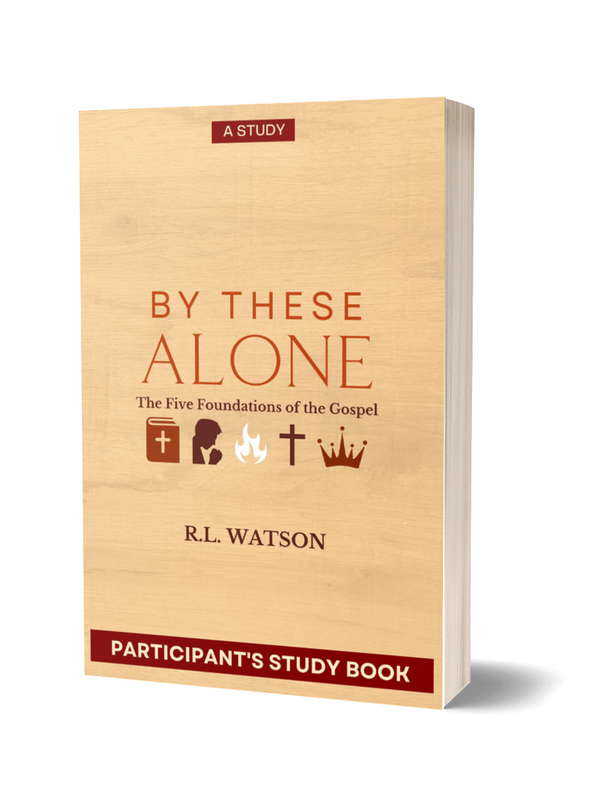 By These Alone: The Five Foundations of the Gospel (Participant's Study Book) product image (1)