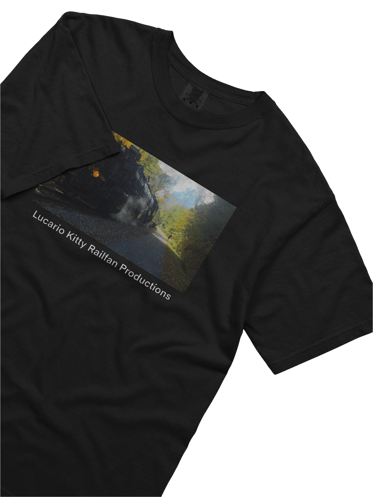 Western Maryland 1309 product image (39)