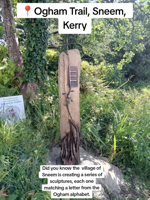 Discover Ireland’s ancient writing system on the Ogham Trail in Sneem! 🌿  The village of Sneem are creating a unique trail where each sculpture matches a letter of the Ogham alphabet, and incorporates the actual wood type from fallen trees !  Make sure to visit this amazing trail! Dive deeper at 👉 oghamlore.com   #fyp #learnontiktok  #ogham #Ireland #sculpture 