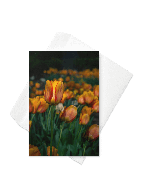 Tulip Standing Tall Notecard product image (1)