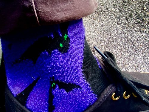 How is everyone actively celebrating sp00ky seasons arrival? Ya boi is sportin his bat socks. GOML
#spooky #sockgame #bat #ha...