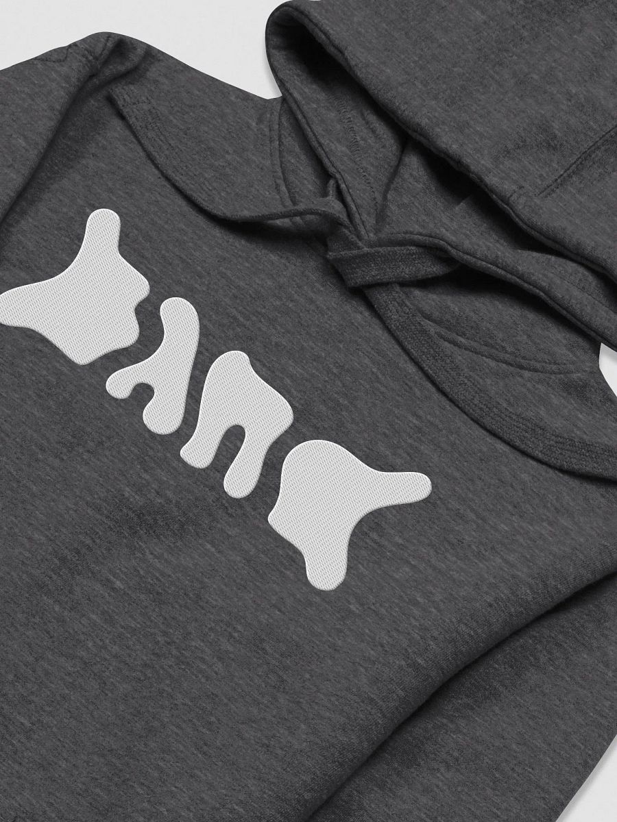 BAND Logo Hoodie Embroidered product image (3)