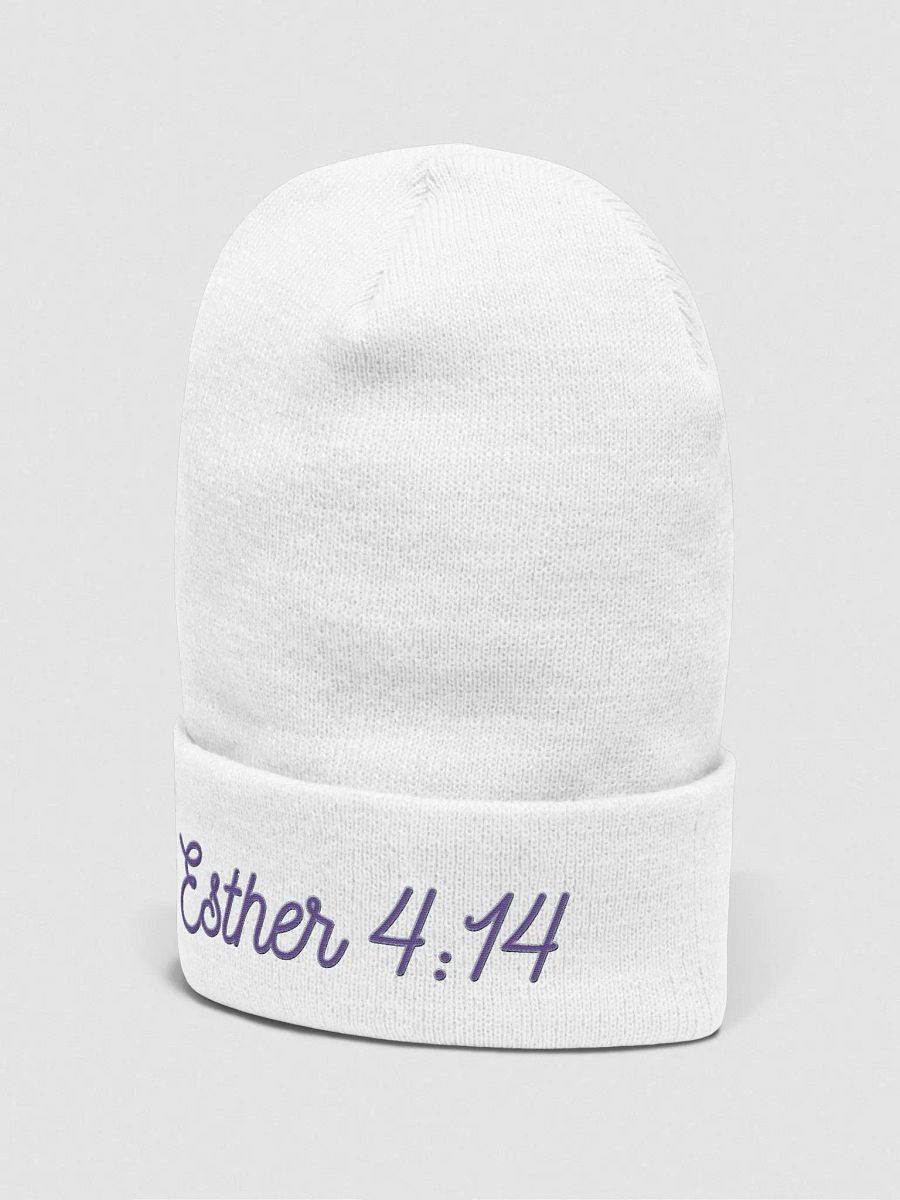 Esther 4:14 Purim Beanie product image (25)