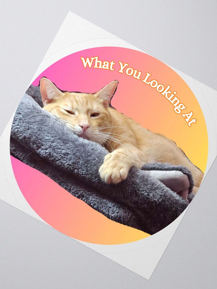What You Looking At Otis Sticker product image (4)