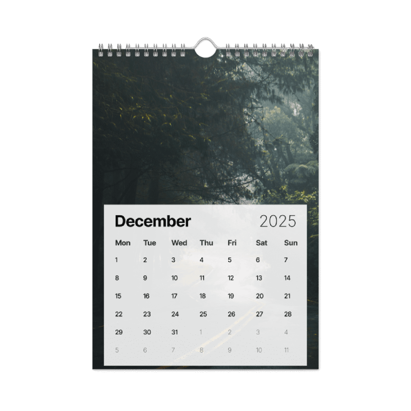 Timeless Moments: 2025 Wall Calendar product image (9)
