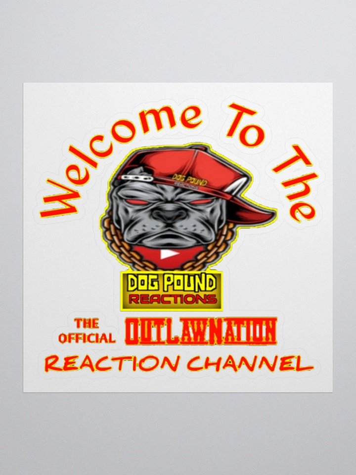 DPR OUTLAW NATION STICKER product image (1)