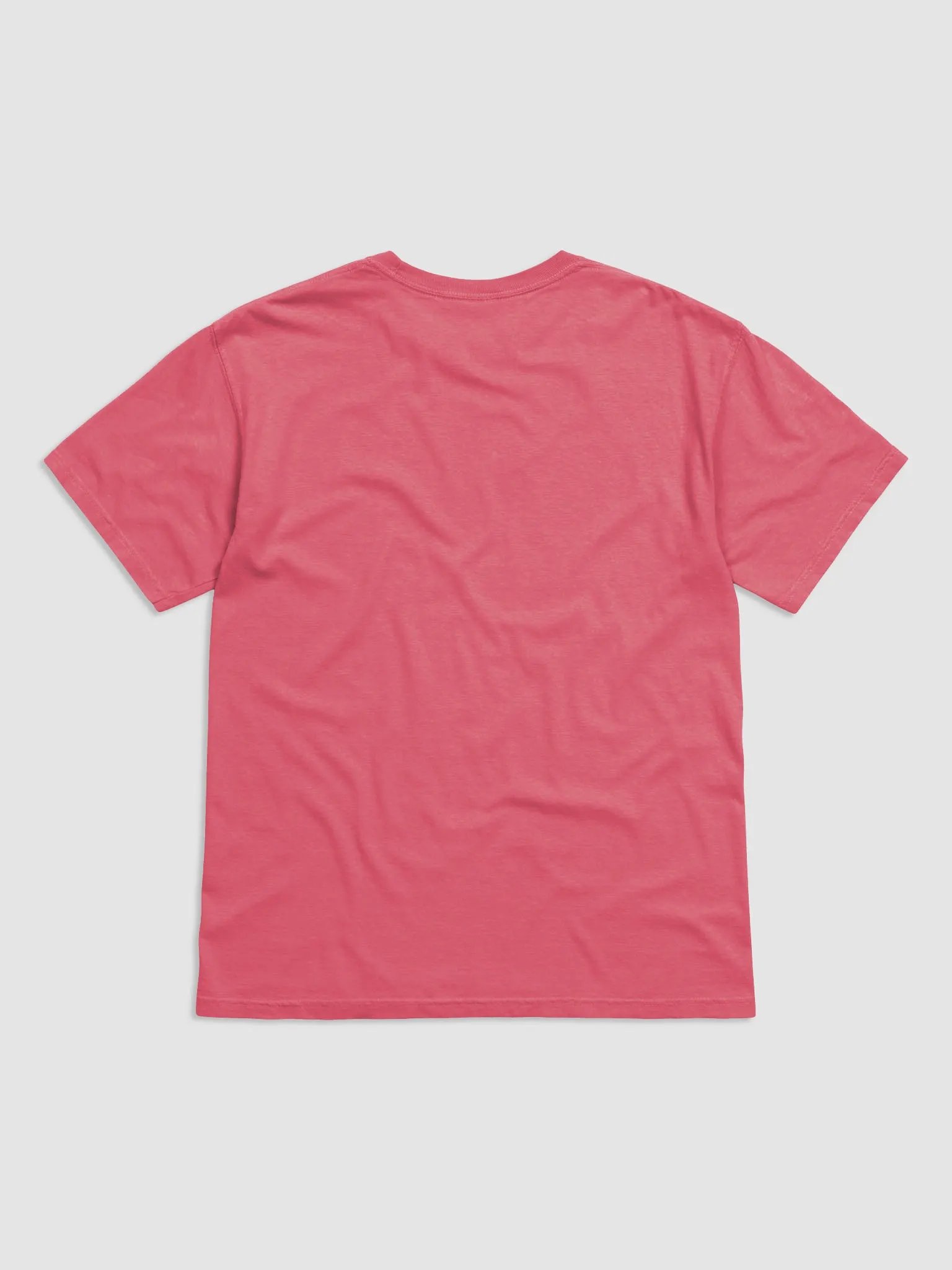 Bringing Up Baby T-shirt! product image (3)