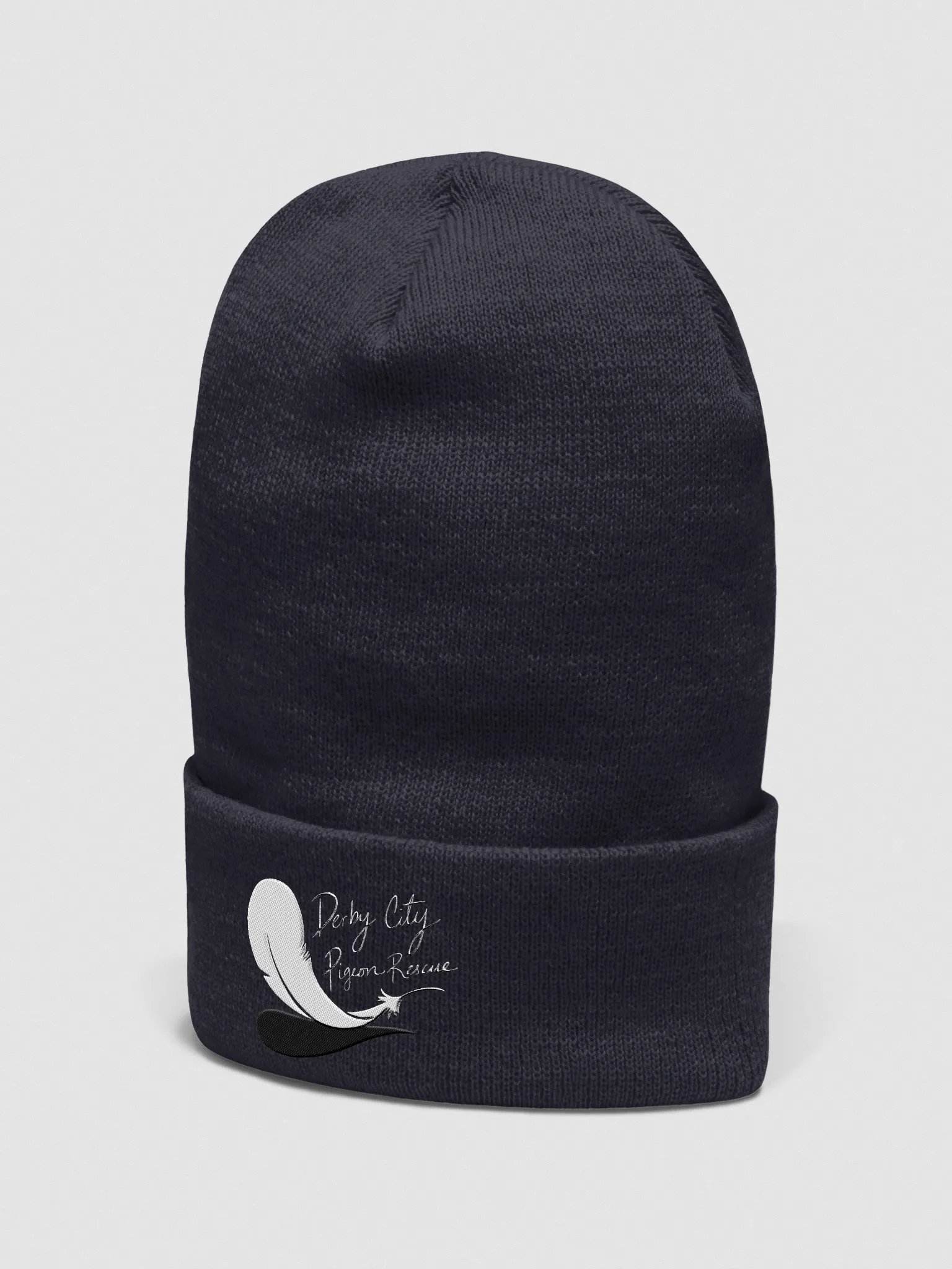 DCPR Embroided Logo Beanie product image (12)