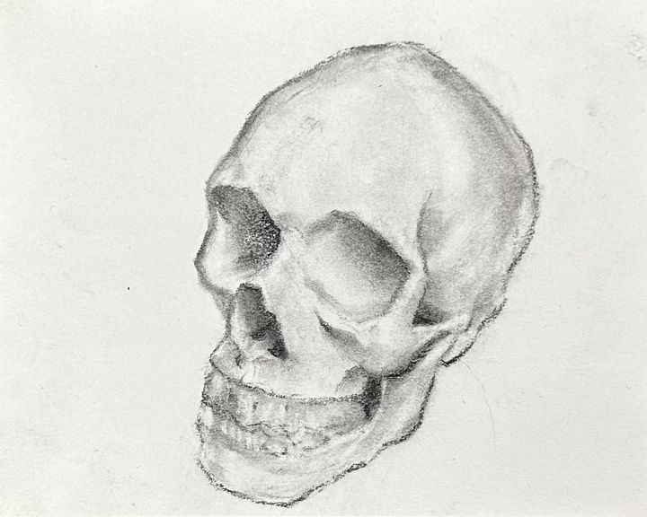 Another Skull product image (1)