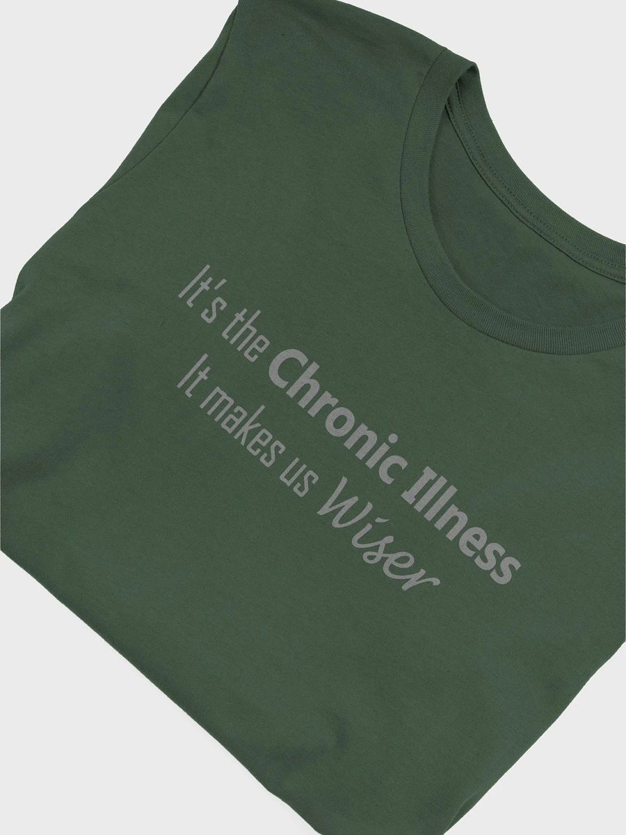 It's the Chronic Illness Shirt product image (47)