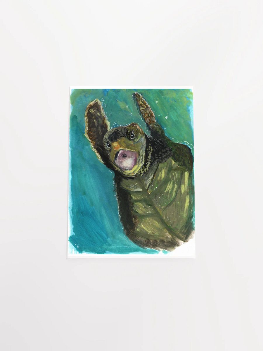 Turtle Print product image (7)
