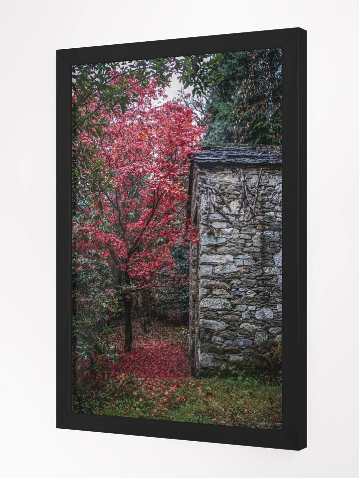 Print Fine Art - Fine Art - The Forgotten Sanctuary product image (4)