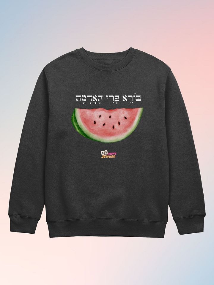 Reclaim the Watermelon - Sweatshirt product image (2)