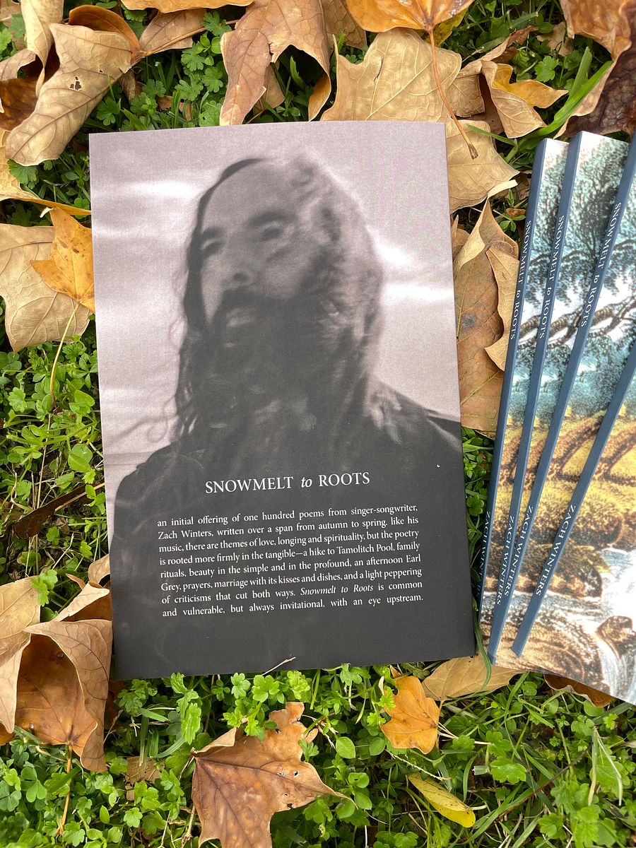 Snowmelt to Roots (poetry book) product image (5)