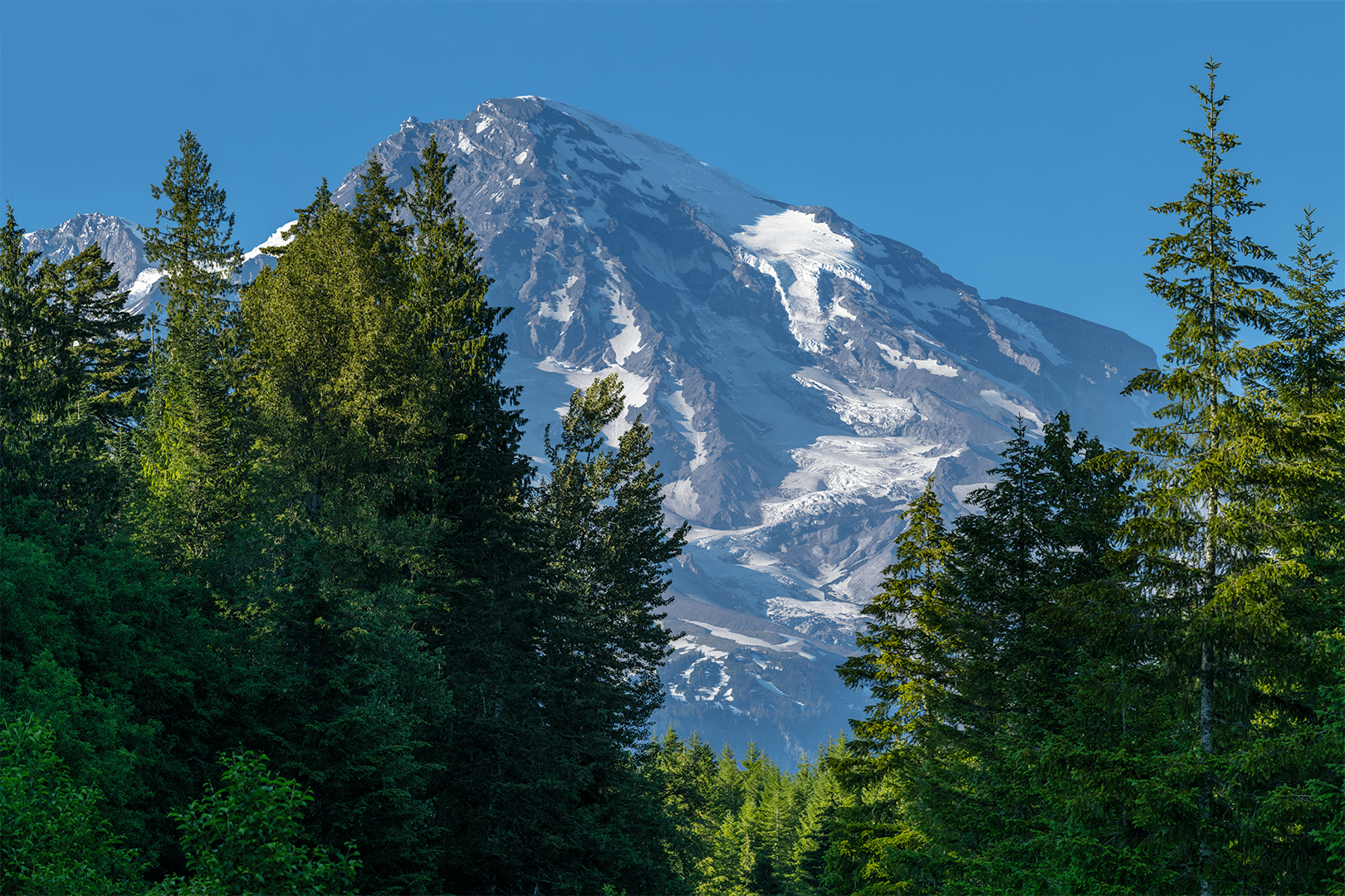 Print - Mount Rainier National Park product image (13)