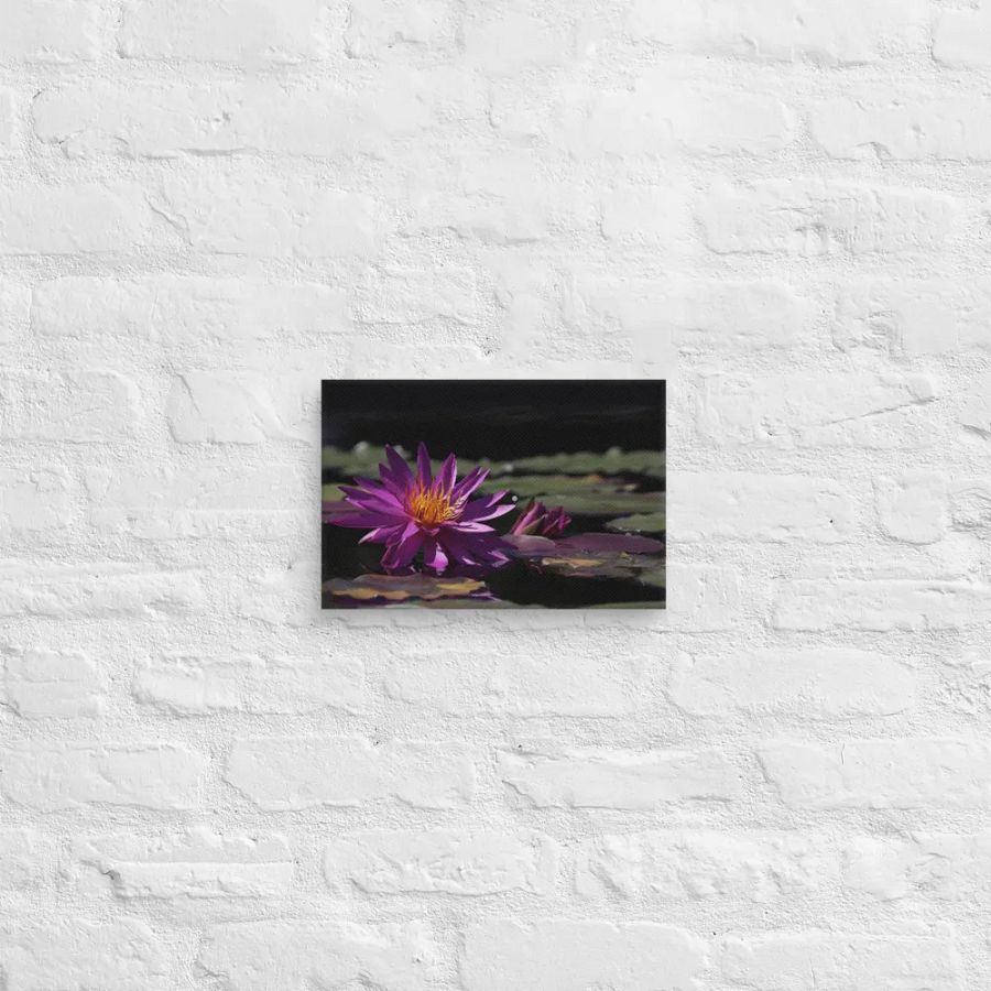 The Purple Waterlily product image (8)
