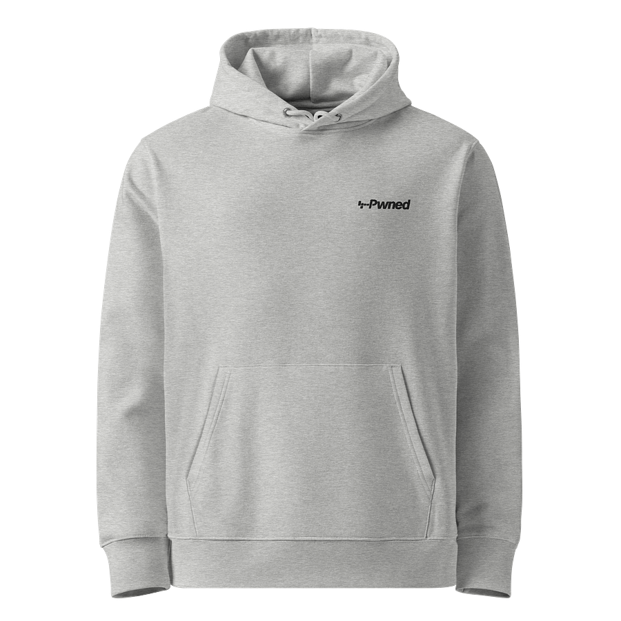 The Pwned Hoodie - Embroidered product image (1)