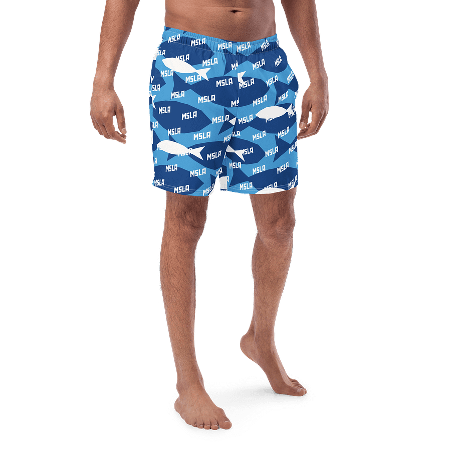The Summer - Swim Trunks product image (1)