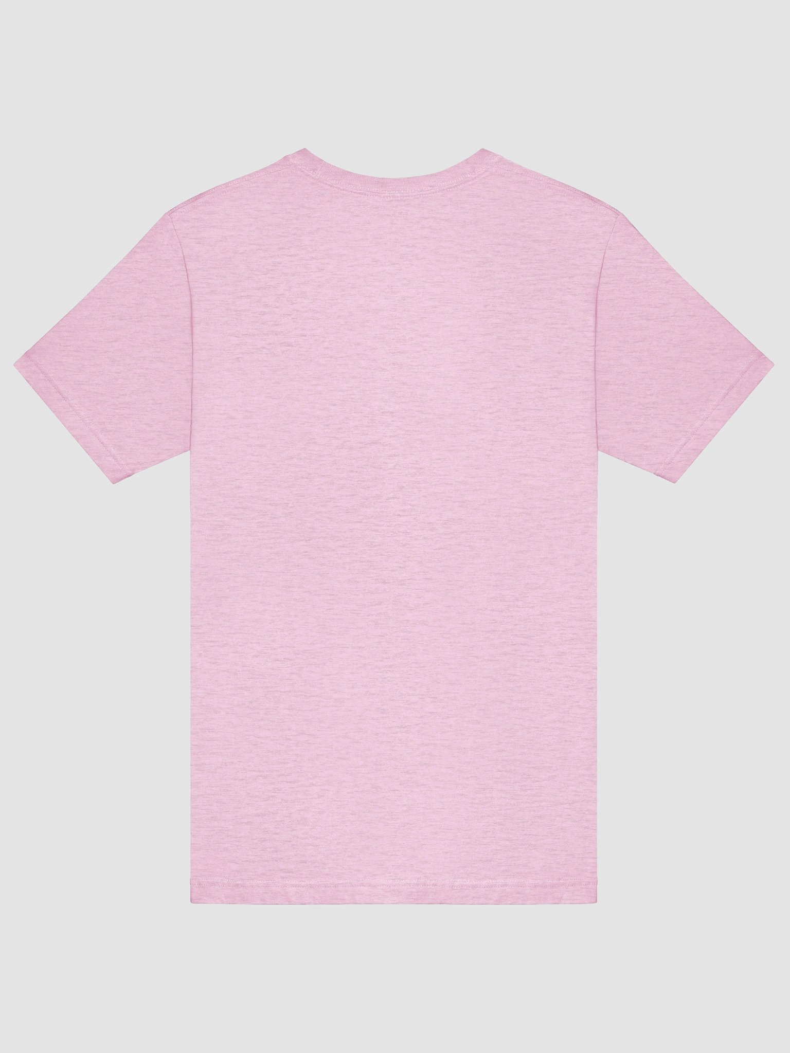 a world without nonbinary people t-shirt product image (6)