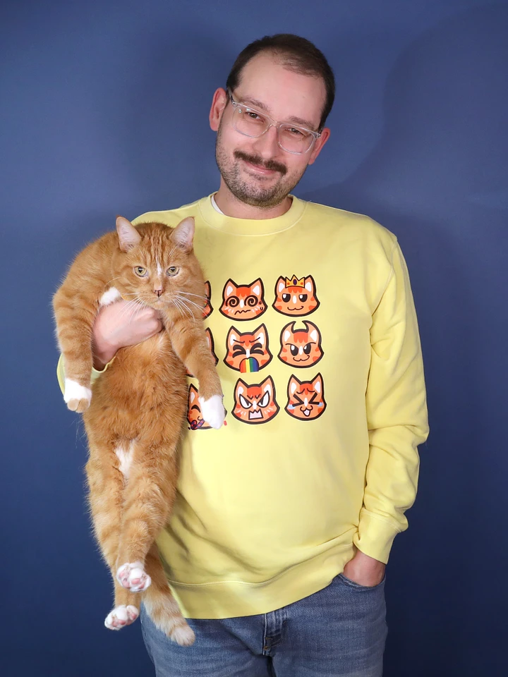 Zyler The Cat Sweater product image (1)
