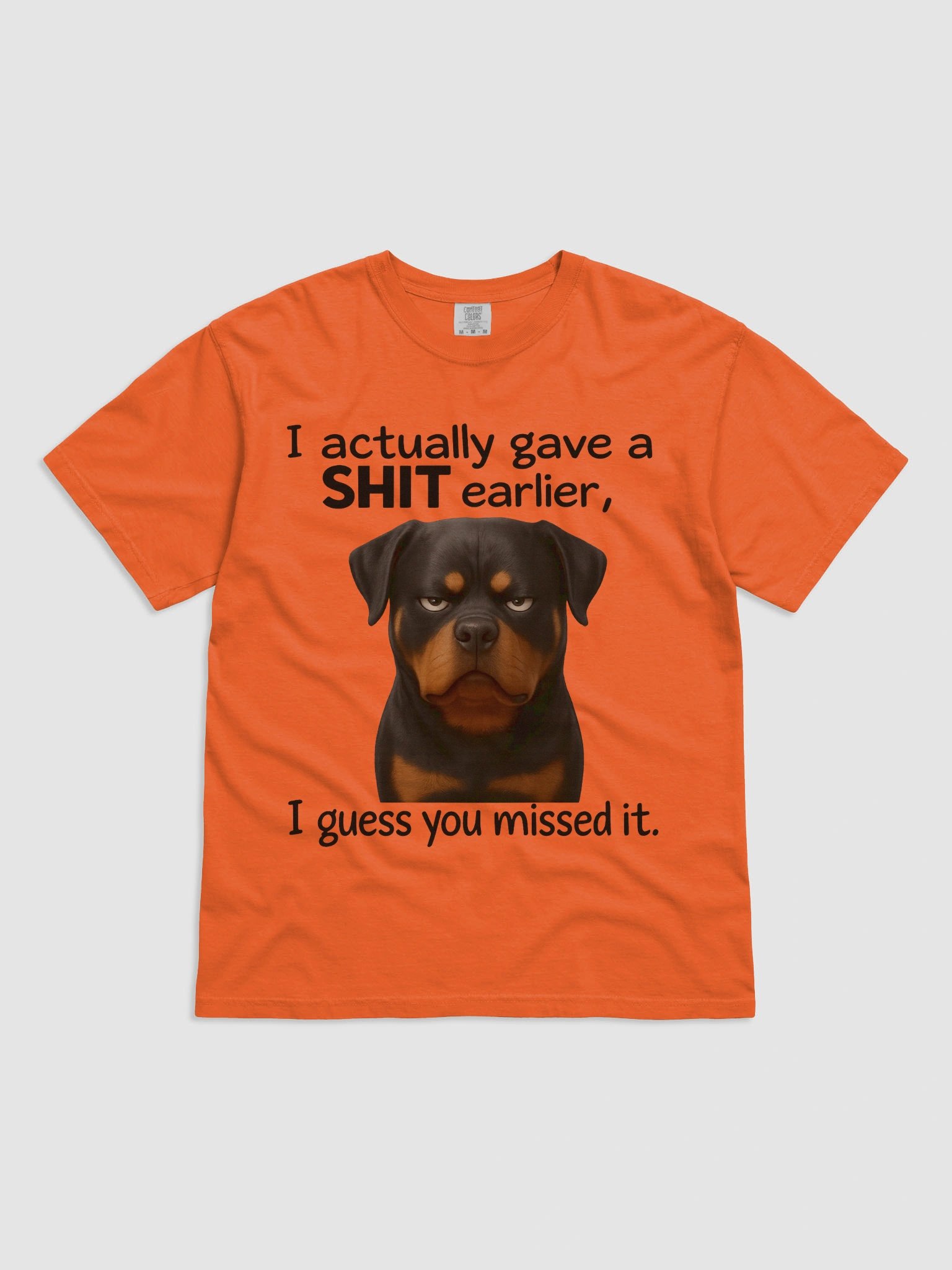 I Actually Gave a Shit Earlier, I Guess You Missed It product image (4)