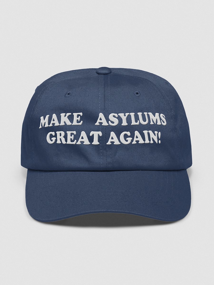 Make Asylums Great Again product image (1)