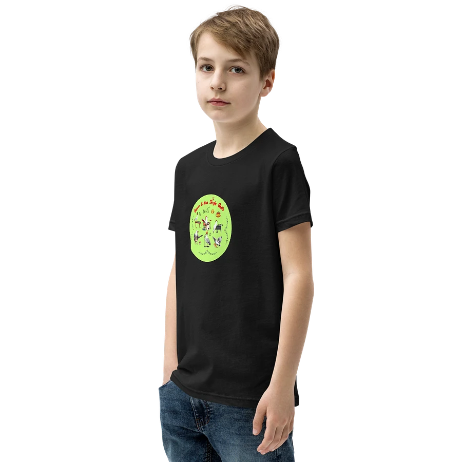 Gavin & the Jingle Gulls Youth T-shirt product image (3)