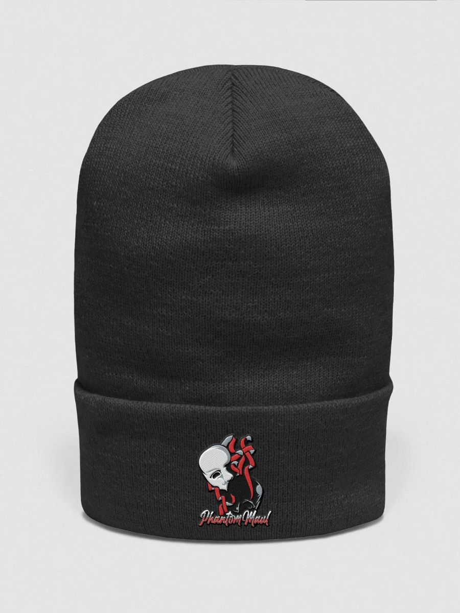 OG Logo Beanie product image (1)