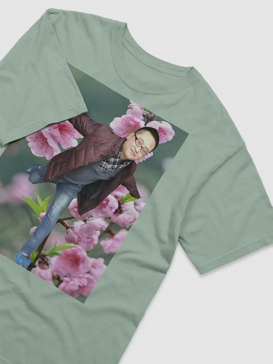 Comfort Colors Garment-Dyed Heavyweight T-Shirt : fly product image (8)