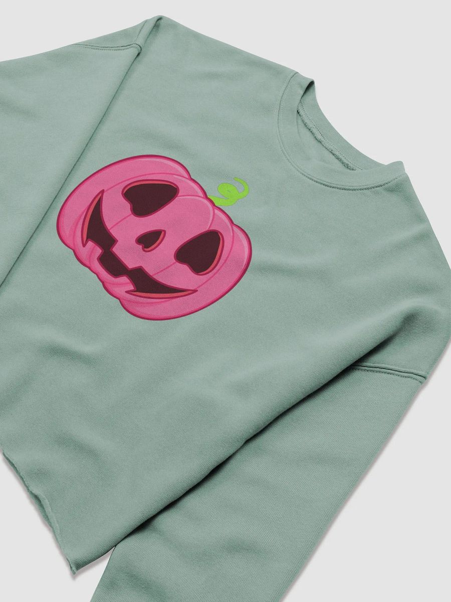 Pumpknnn crop sweatshirt product image (3)
