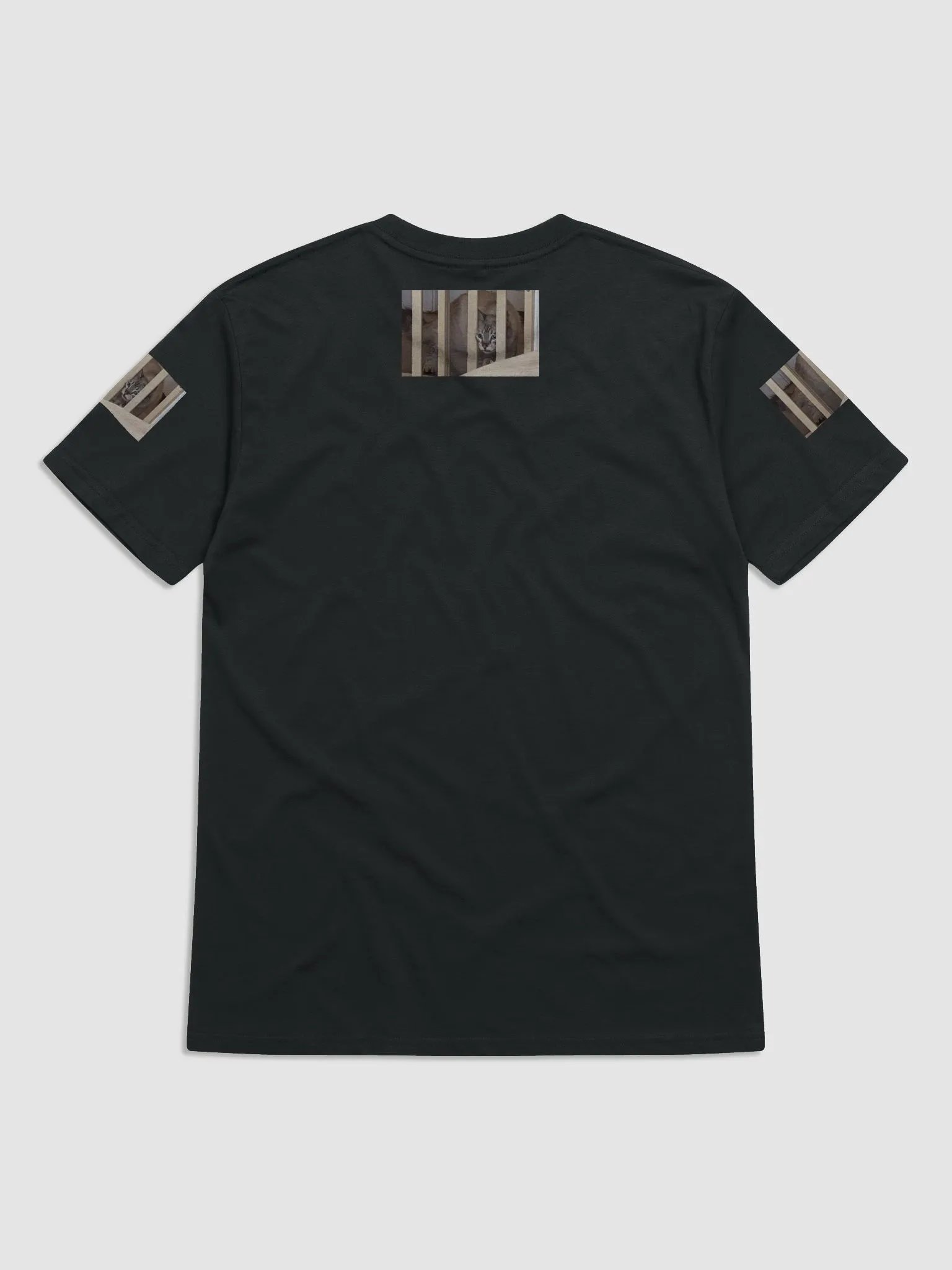 jail product image (1)