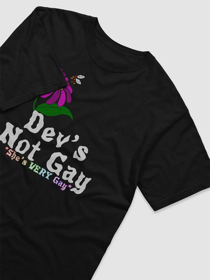 IYKYK- Dev’s not gay Comfort Tee product image (2)
