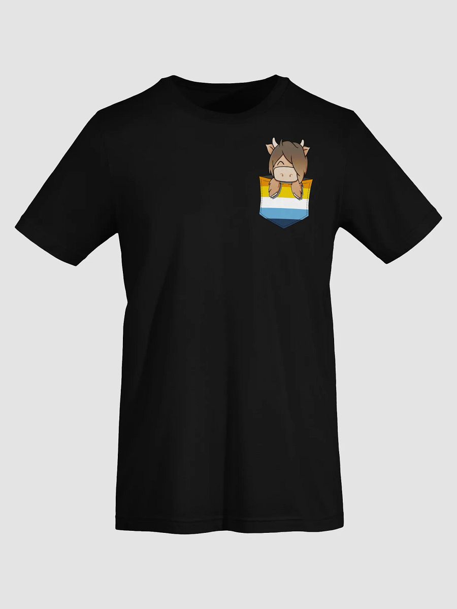 AroAce Pocket Hamish Pride product image (52)