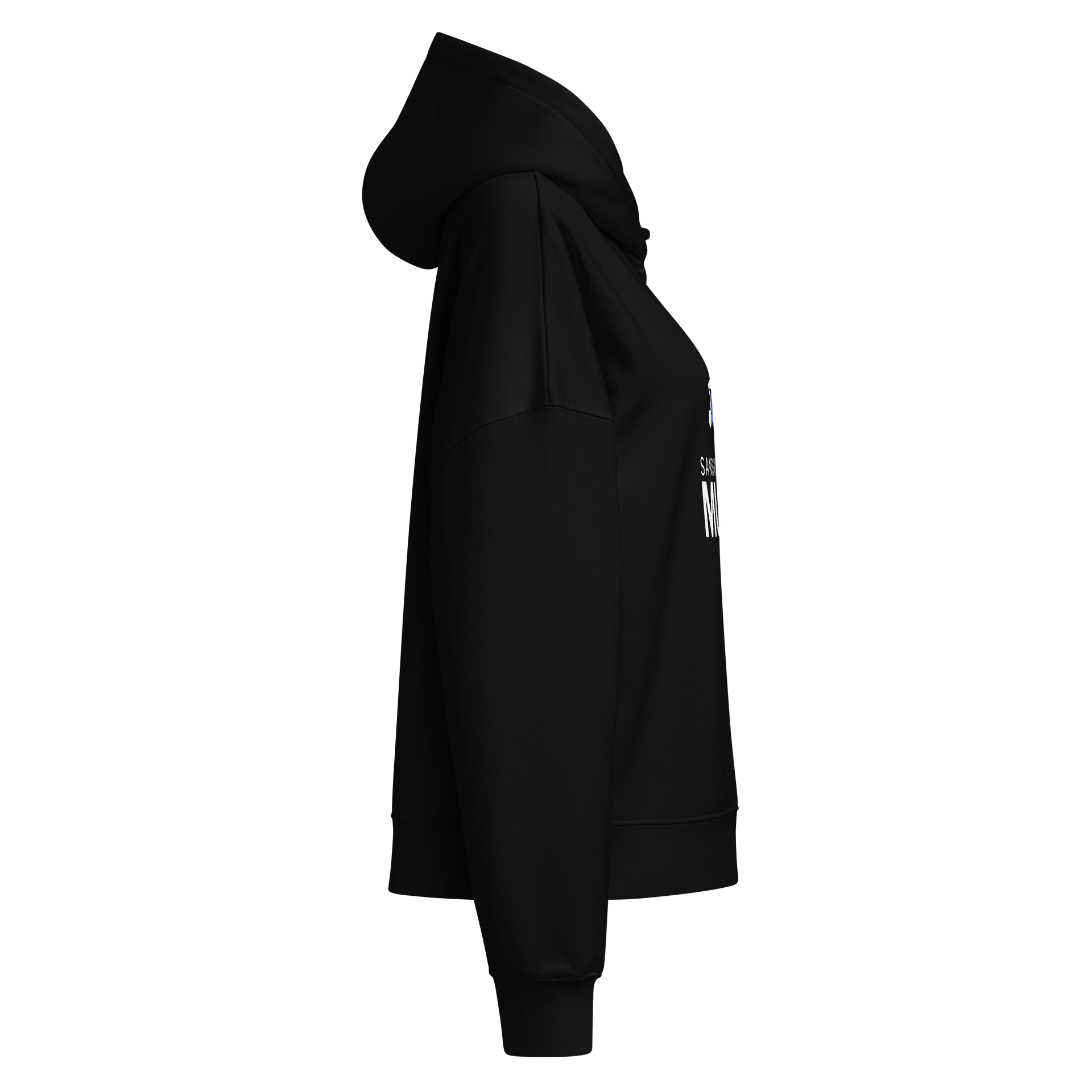 Sandy Springs Womens Hoodie product image (9)